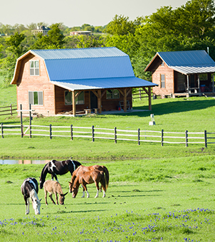 Solar-Powered Farms Solar-Powered Farms